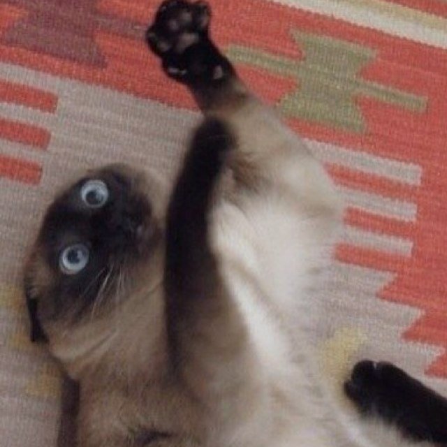 Offscreen_Voice's profile picture. As obscure as it gets.