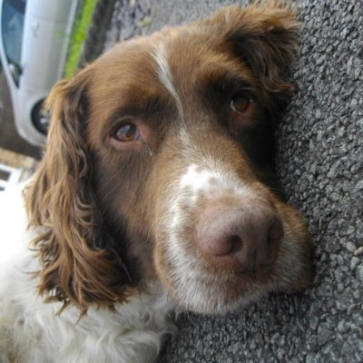 russell756's profile picture. 