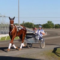 Mitch Tierney (@00tierney) 's Twitter Profile