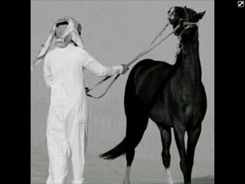 قناعاتي هي وطني الخاص بي ، أنا حاكمها و أنا جميع القوانين