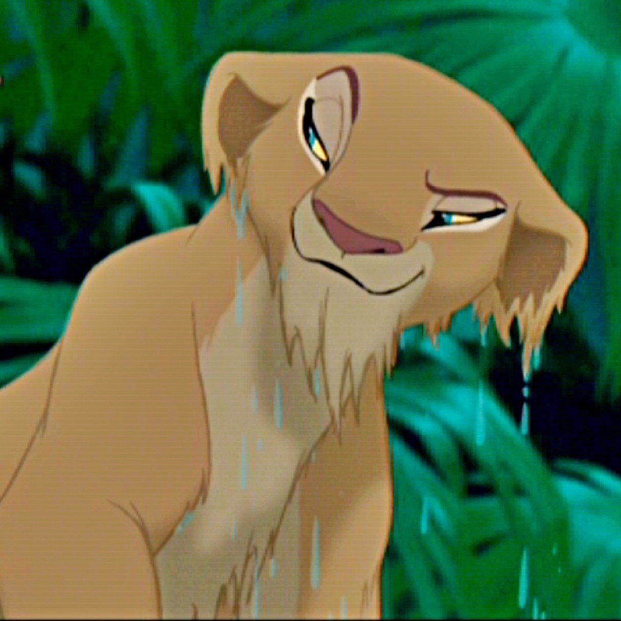 Yo my darlings, I am Nala! :p sassy,sexy and pretty does it sound like @TheQueenZira yes? Its because this is her other account