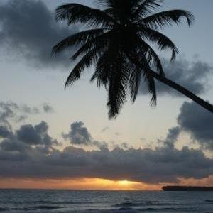 londonbackpack's profile picture. 