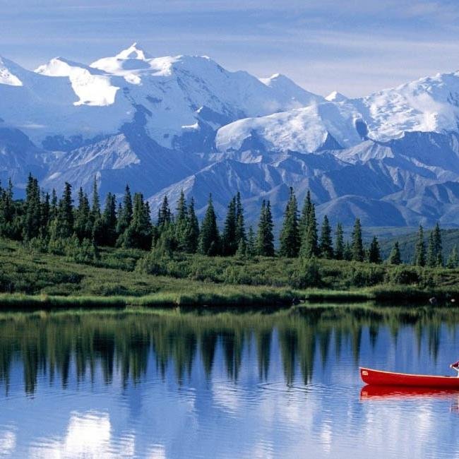 alejoherrerotad's profile picture. 