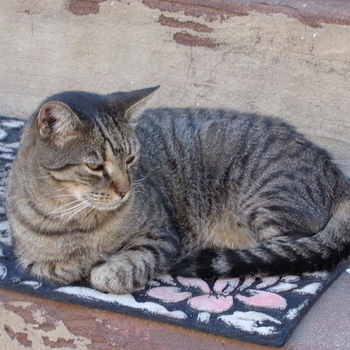 Sepvivour's profile picture. News in Kensington - Port Richmond - Fishtown