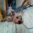 kyra_gatiko89's profile image