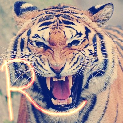 rammlocked Profile Picture