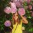 HelenHarperDXB's profile image