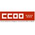 @CCOOdtoncemadrid (@ccoodtoncemadri) Twitter profile photo