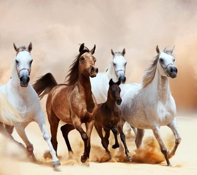 للقلوب الطاهره والنوايا الصافية 