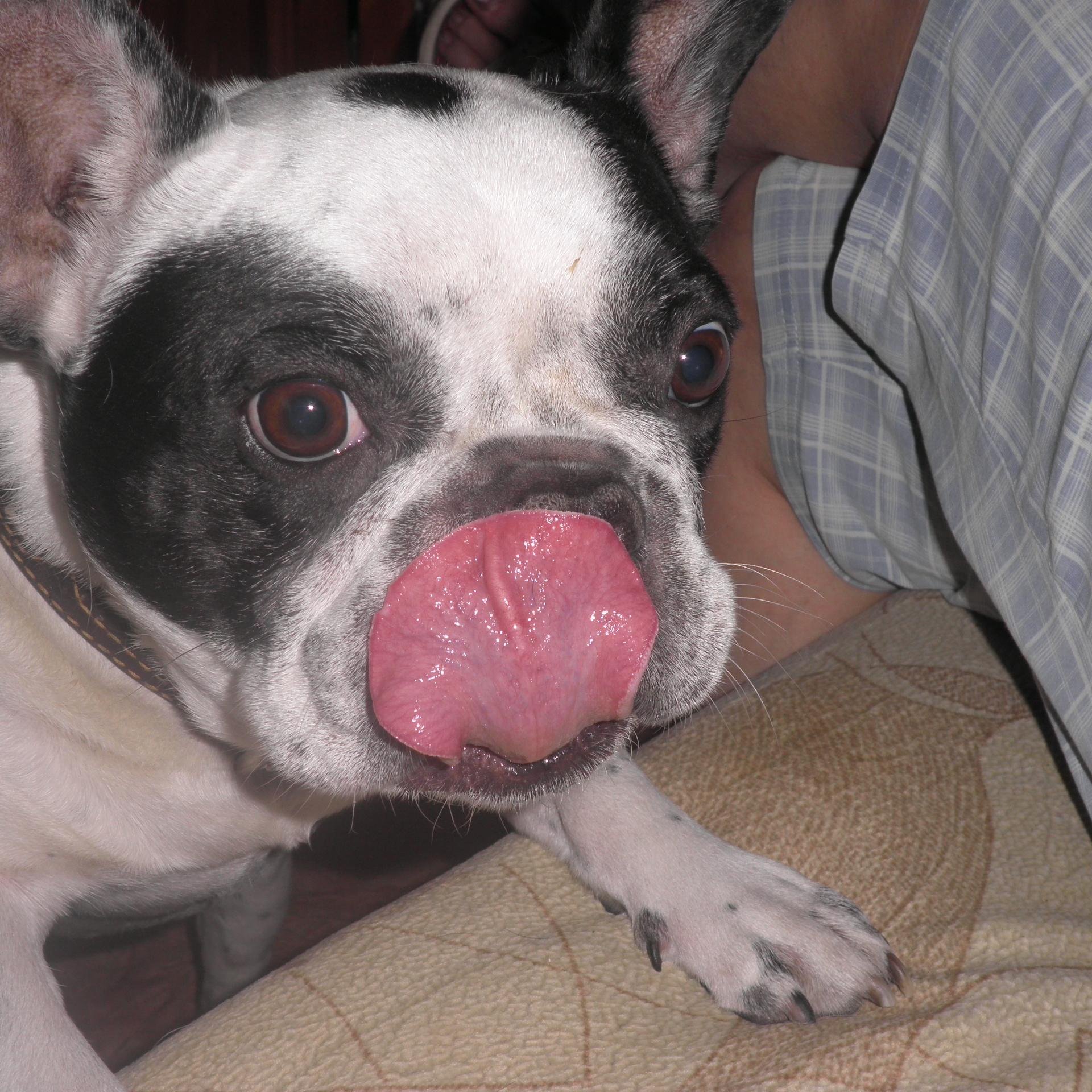 Pitamidon's profile picture. Пишу, читаю,  люблю, ненавижу, ем, иногда сплю, и все еще надеюсь.