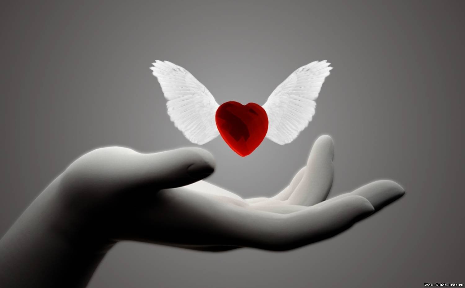 YMYTIK's profile picture. 