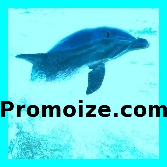 http://t.co/IIRPaL3zjS, Promo Made Easy For Ordinary People. Self-Promotion Made Simple.