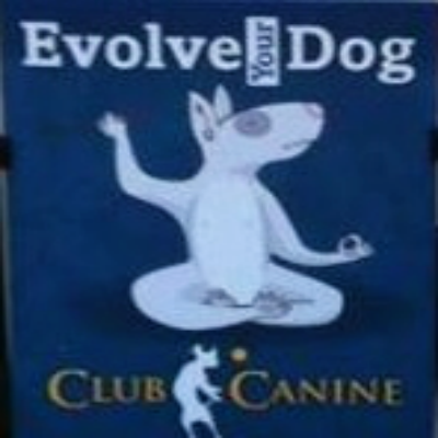 Club Canine is Houston's ORIGINAL training based day care, home of The Thinking Dog System. With 40+ yrs.of teaching dogs and owners how to become a team.