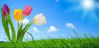 Maria12062's profile picture. 