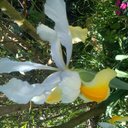 Youtuber Jean-Kenny - @Youtuberjknoel - Twitter