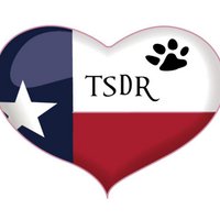 Texas Sweeties Dog Rescue(@TXSweeties) 's Twitter Profileg