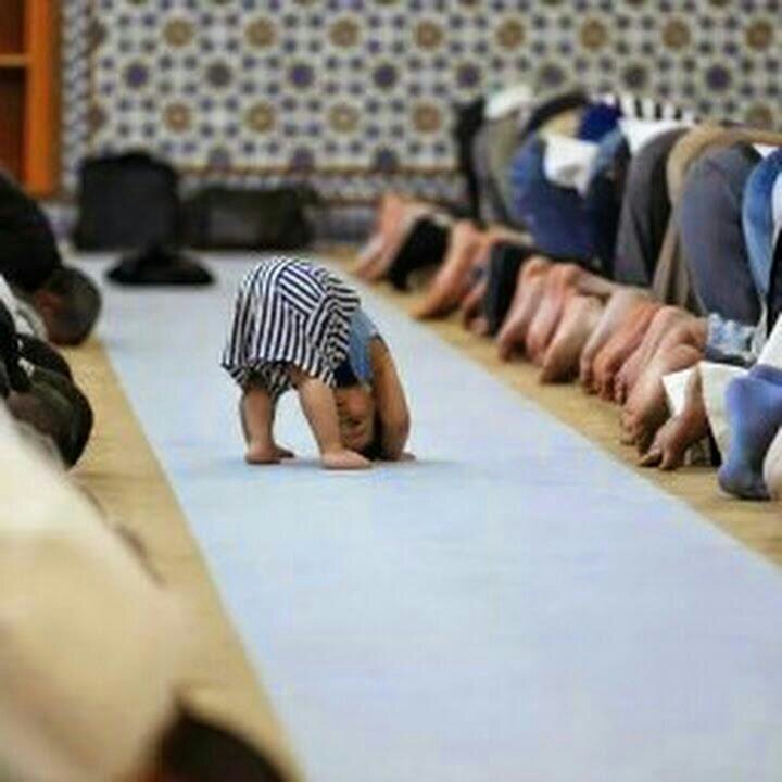 FaxriT9900's profile picture. 