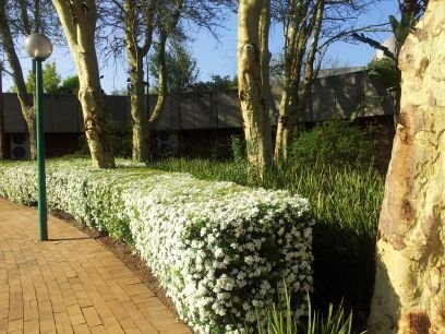 Mobile Learning at the University of Pretoria