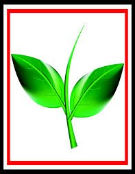 WomenVeteran's profile picture. 