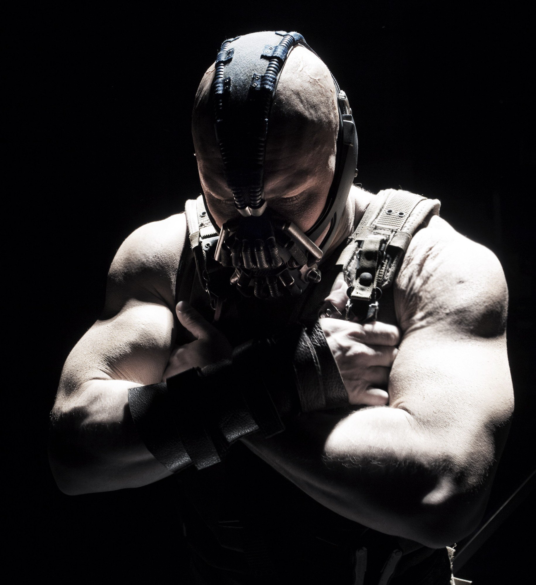 Bane31155993's profile picture. 