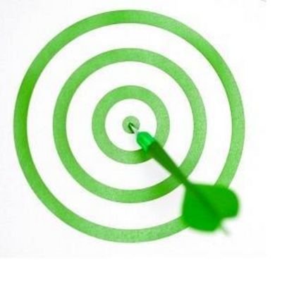 Drawing awareness to the need for education, research, and treatment for  Lyme disease in Georgia.