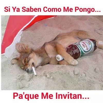 golfos123_putas's profile picture. aki todos los secretos de l@s putas maricones marañas   ....ETC....  de ct