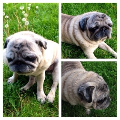 olufsen07's profile picture. 