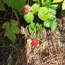 christopher frame - @CFrame30 - Twitter