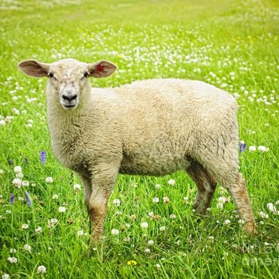 ForTheVeiws's profile picture. 