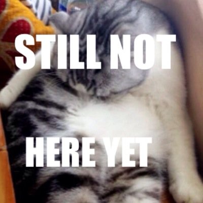 Still not there yet guys