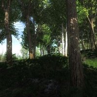 the hunter (@_groep_8_) 's Twitter Profile