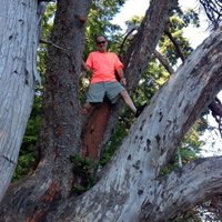 kevin g gripp (@kevingripp) 's Twitter Profile