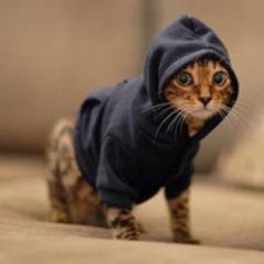 Jemima_3's profile picture. Blogger-Gamer-Luv #rock and #newmetal :D