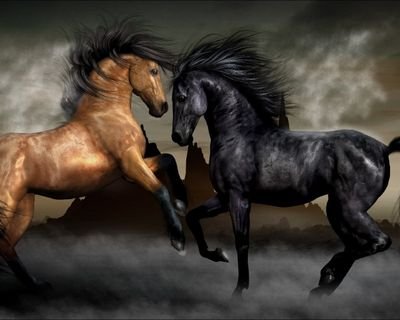 takdif's profile picture. 엔젤부동산중개사무소 / 소장 / 공인중개사 /  경매컨설턴트 / 안녕하세요? 저는 강남 도곡동에서 부동산중개를 하고 있는 강상철이라고 합니다. 항상 열심히 살려는 사람들과 어룰려서 살고 싶습니다^^