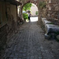 sertuna (@ertunasaime) Twitter profile photo