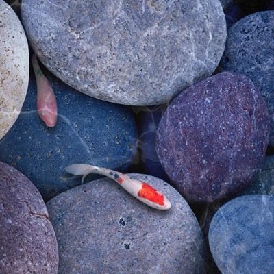 都内の医学生です。もう6年生になっちゃいました。どうもよろしくです。