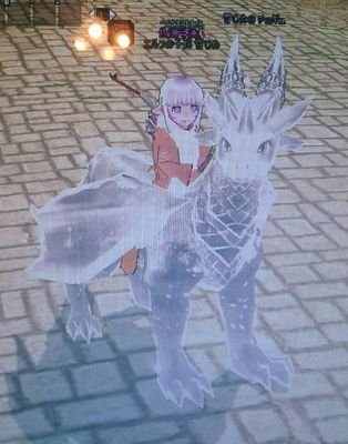 マビノギ垢.*　樽鯖　雪ひめ　エルフ　よわっちーの。　☞フレ申請してね.*☜　【相互フォローうれしす】
