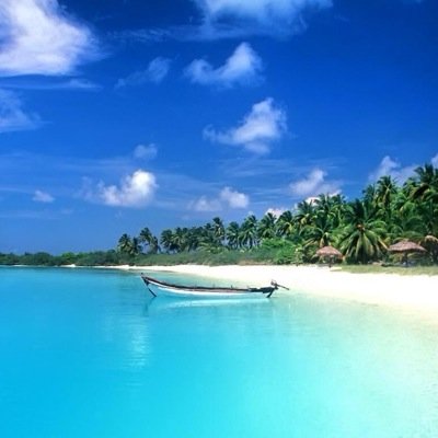 LiliParvati's profile picture. 