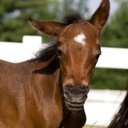 Scott Bogue - @scott_bogue - Twitter