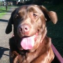 Jason - @JasonGemmell - Twitter