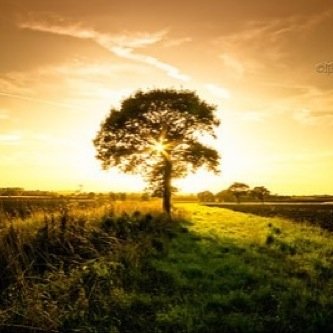 neospektrum's profile picture. 