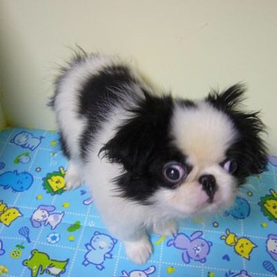 ma2480's profile picture. 