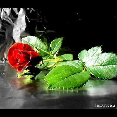 http://t.co/87IoTl3vMm alhashood_