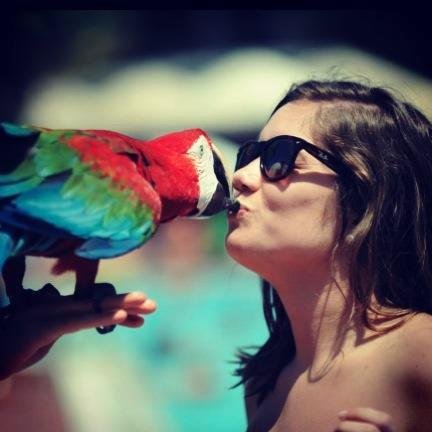 shealzk's profile picture. 