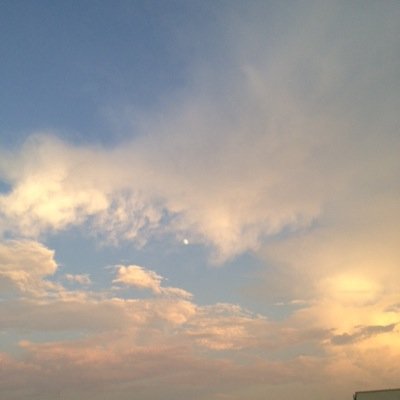 elderflower222's profile picture. ジャンル問わず音楽を聴くのが好き。一児の母。Ed Sheeran、Sting 、米津玄師さん、藤井風さんなど。follow and remove ご自由に。無言フォロー失礼します。未だ慣れぬTwitter、あっ、Xです。失礼あればごめんなさい🙏おっちょこちょいです。