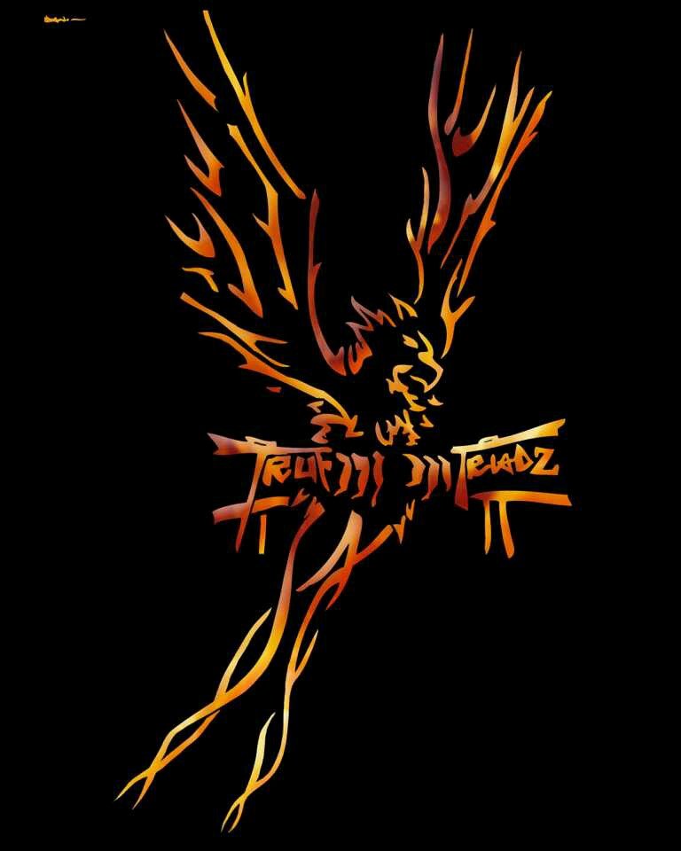 youtube channel http://t.co/l8WGekpPcc @TRuF_Triads @NextlevelSponor
