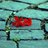 noor_aldein's profile image