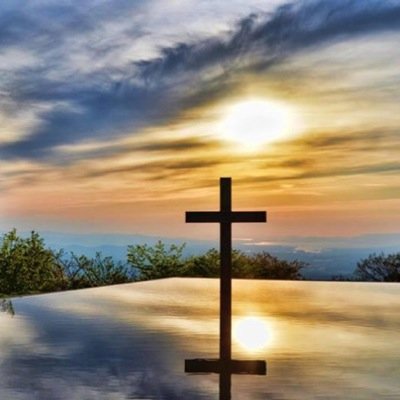 wisstar512215's profile picture. 