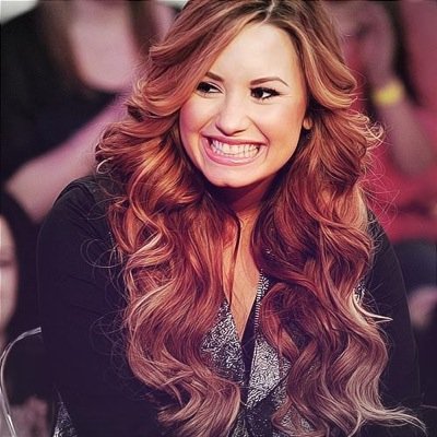 Everyone has a dreamMines is to meet my idols Demi Lovato Ariana Grande Selena Gomez 5H Justin Bieber Ed Sheeran ect TVD TO PLL Bones ***multifandom account***