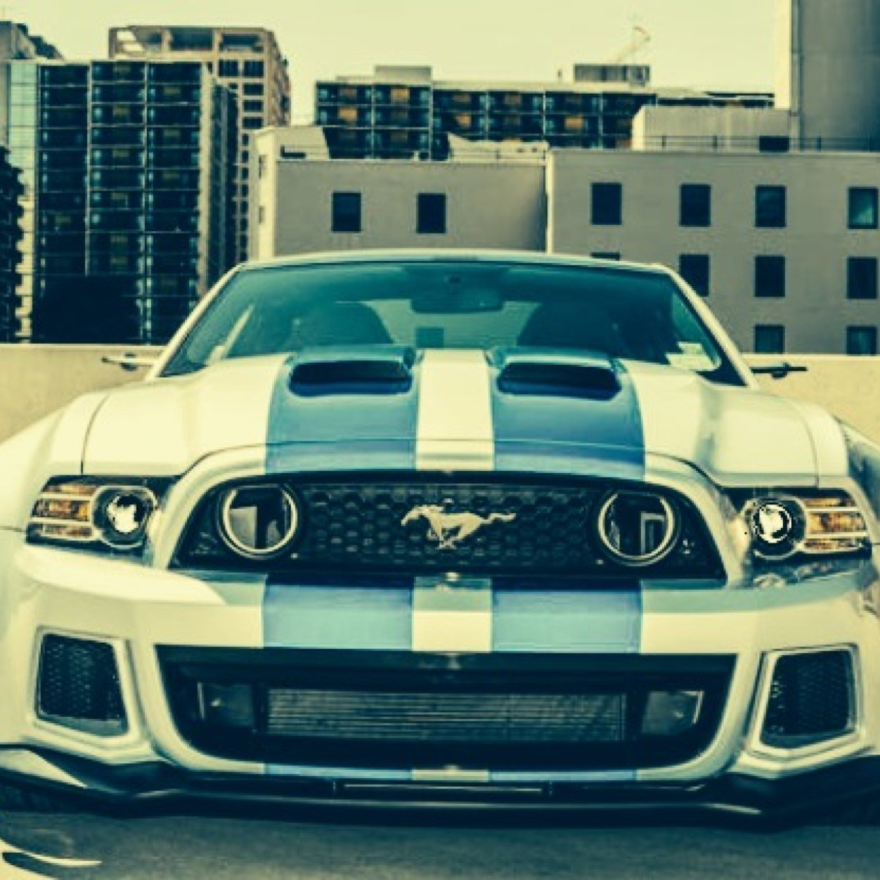 kingzbow's profile picture. 